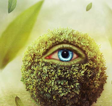 免费短信电话轰炸机